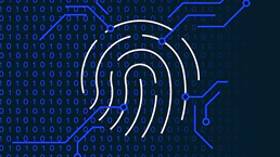 Growing Concerns Over Digital ID Programs Worldwide